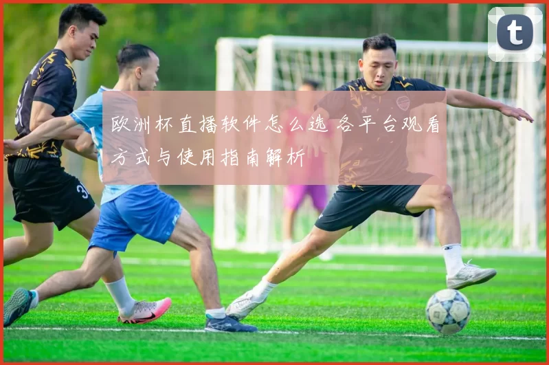 欧洲杯直播软件怎么选 各平台观看方式与使用指南解析