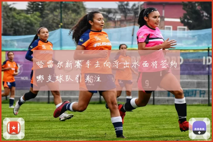 哈雷尔新赛季去向浮出水面将签约哪支球队引关注