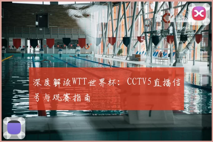 深度解读WTT世界杯：CCTV5直播信号与观赛指南
