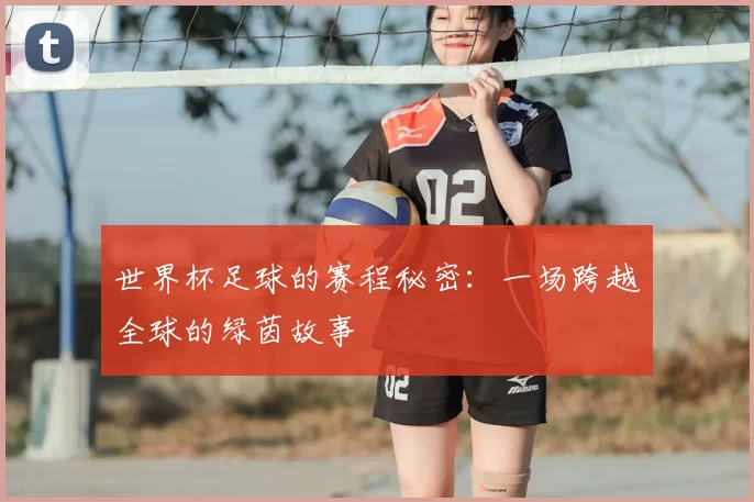 世界杯足球的赛程秘密：一场跨越全球的绿茵故事