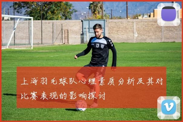 上海羽毛球队心理素质分析及其对比赛表现的影响探讨