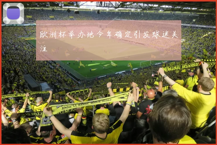 欧洲杯举办地今年确定引发球迷关注