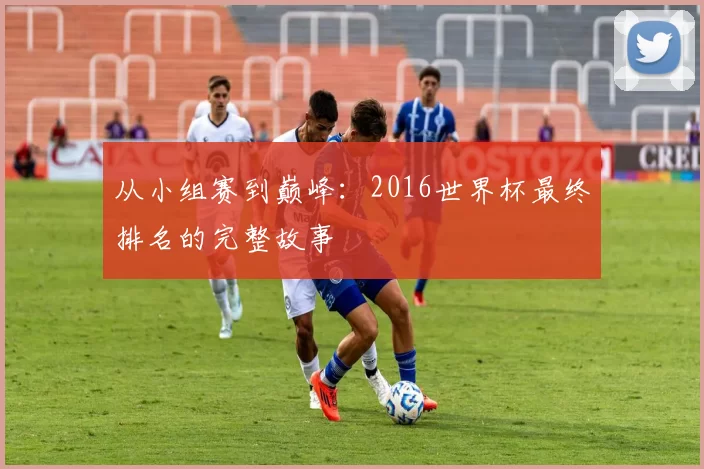 从小组赛到巅峰：2016世界杯最终排名的完整故事