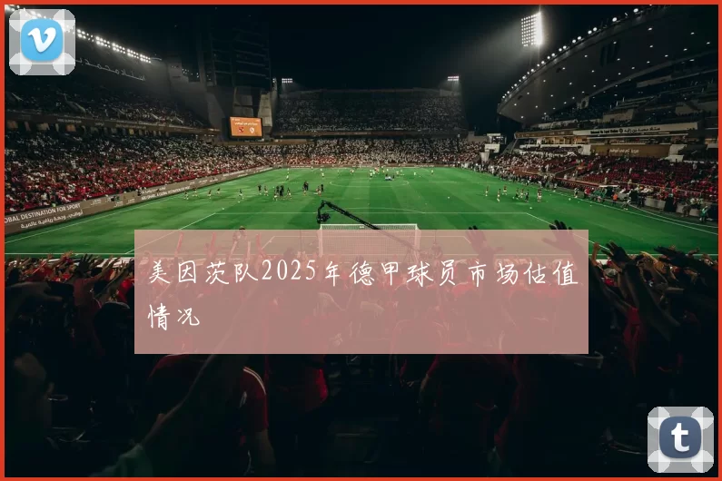 美因茨队2025年德甲球员市场估值情况