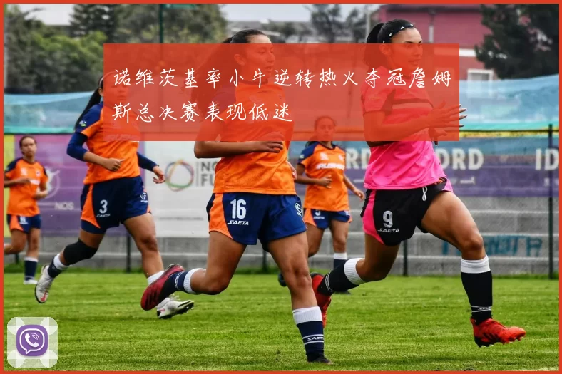 诺维茨基率小牛逆转热火夺冠詹姆斯总决赛表现低迷