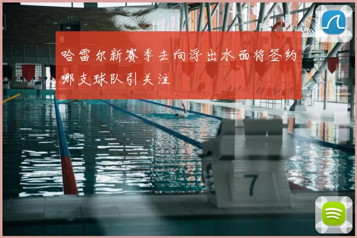 哈雷尔新赛季去向浮出水面将签约哪支球队引关注