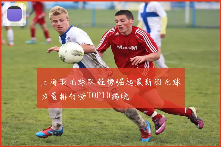 上海羽毛球队强势崛起最新羽毛球力量排行榜TOP10揭晓