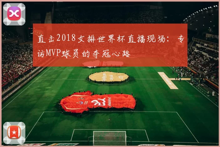直击2018女排世界杯直播现场：专访MVP球员的夺冠心路