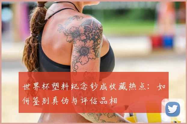 世界杯塑料纪念钞成收藏热点:如何鉴别真伪与评估品相