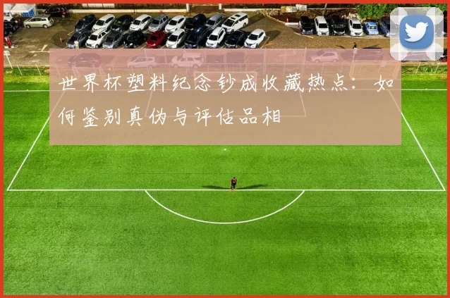 世界杯塑料纪念钞成收藏热点:如何鉴别真伪与评估品相