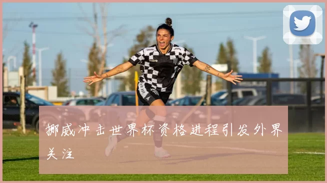 挪威冲击世界杯资格进程引发外界关注