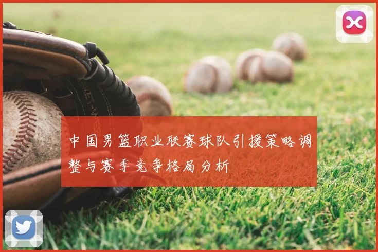 中国男篮职业联赛球队引援策略调整与赛季竞争格局分析