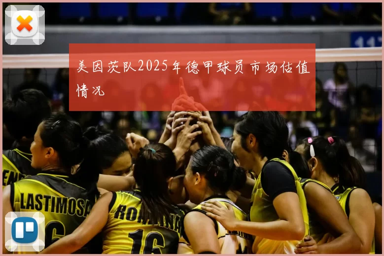 美因茨队2025年德甲球员市场估值情况