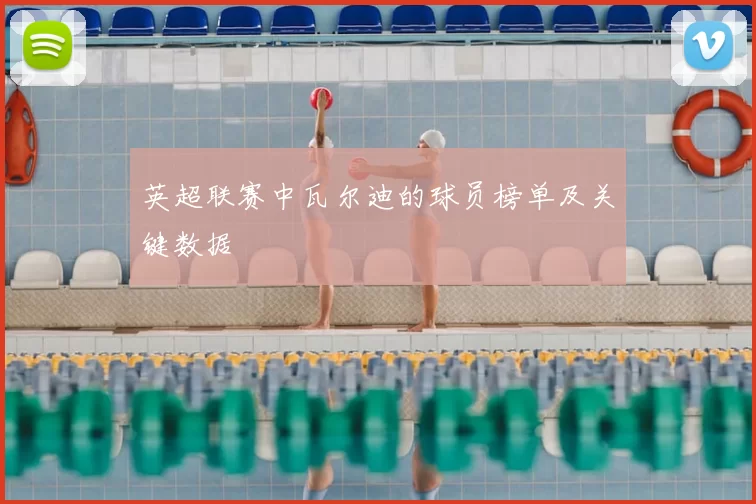 英超联赛中瓦尔迪的球员榜单及关键数据