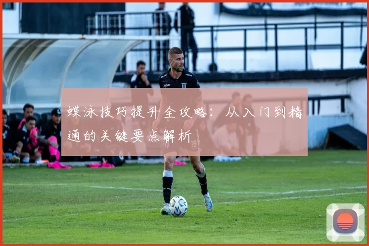 蝶泳技巧提升全攻略：从入门到精通的关键要点解析