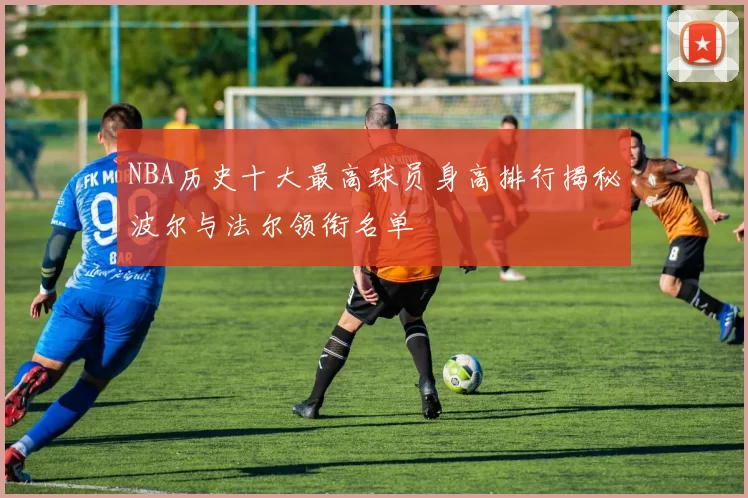 NBA历史十大最高球员身高排行揭秘波尔与法尔领衔名单