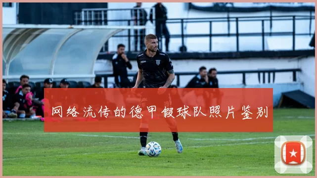 网络流传的德甲假球队照片鉴别